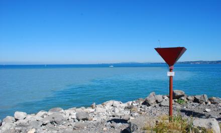 Mouth in Lake Constance/ Mündung in den Bodensee (Roy Frings)