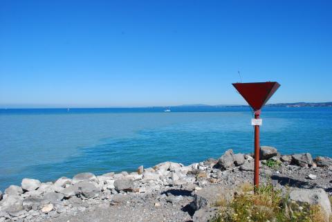 Mouth in Lake Constance/ Mündung in den Bodensee (Roy Frings)